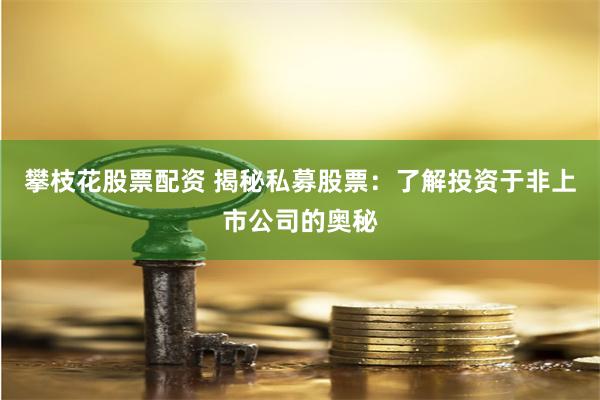 攀枝花股票配资 揭秘私募股票：了解投资于非上市公司的奥秘